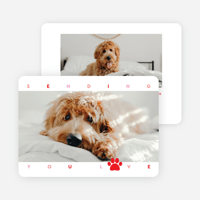 Woof you be mine? Valentine’s Day Cards - White