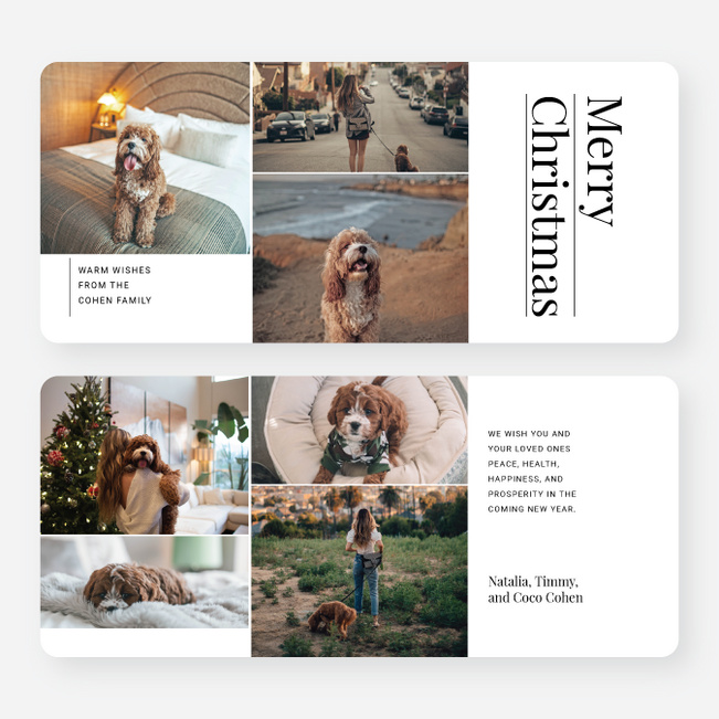 Precious Snapshots Christmas Cards - White