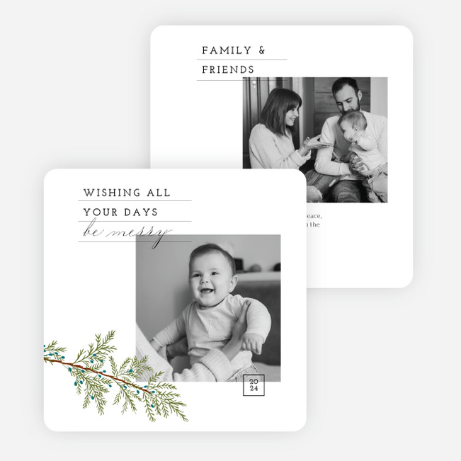 Pine & Dandy Christmas Cards - White